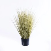 Supergreens Τεχνητό Φυτό Χορτάρι Γυνέριο "Reed" Πράσινο 70 εκ.