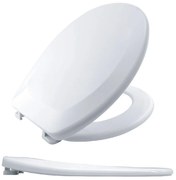 Καπάκι Λεκάνης (43x36) Bemis 03521.001/7250 TP