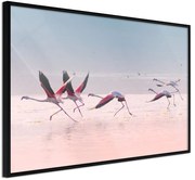 Αφίσα - Flamingos Breaking into a Flight - 60x40 - Μαύρο - Χωρίς πασπαρτού