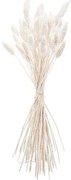 Beauty Home ΜΠΟΥΚΕΤΟ  Phalaris ΦΥΣΙΚΗ  60cm – 50 ΤΜΧ