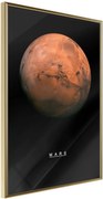 Αφίσα - The Solar System: Mars - 40x60 - Χρυσό - Χωρίς πασπαρτού