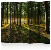 Διαχωριστικό με 5 τμήματα - Morning in the Forest II [Room Dividers] 225x172