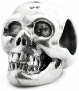 Γυναικεία Περιδέραια Viceroy VMM0222-00 Ασημί 1 cm