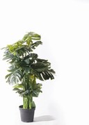 Supergreens Τεχνητό Δέντρο Μονστέρα Deliciosa Πράσινο 145 εκ
