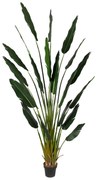 Supergreens Τεχνητό Δέντρο Πουλί του Παραδείσου Strelizia Nicolai 240 εκ. - 4180-6 - 4180-6