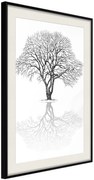 Αφίσα - Roots or Treetop? - 40x60 - Μαύρο - Με πασπαρτού