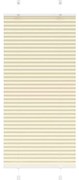 vidaXL Πλισέ περσίδα Κρέμα 55x150 cm Πλάτος υφάσματος 54,4 cm