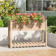 Ζαρντινιέρα με Ράφι 111,5 x 34,5 x 81 εκ. Μασίφ Ξύλο Πεύκου 823766