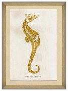 Κάδρο Caribbean Sea Life - Hippocampus FA13181 50X70 MindTheGap Κάθετοι Wood