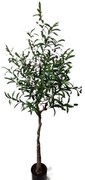 Τεχνητό Δέντρο Ελιά NP4817_160_22 Ύψος 160cm Green New Plan Πλαστικό, Ύφασμα