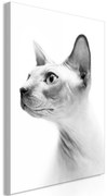 Πίνακας - Hairless Cat (1 Part) Vertical - 40x60