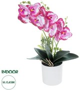 Artificial Garden PINK + FUCHSIA ORCHID 21079 Διακοσμητικό Φυτό Ροζ - Φούξια Ορχιδέα Υ45cm Globostar-21079-Φούξια 21079