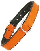 Κολλάρο Σκύλου Gloria Γεμισμένο Πορτοκαλί (30 x 1,5 cm)