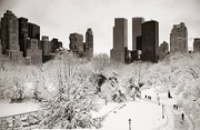 Φωτογραφία Central Park winter, rabbit75_ist