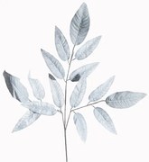 Τεχνητό Κλωνάρι Βότανο 72 εκ. 5401-7 Supergreens-5401-7-Μαύρο 5401-7