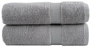 vidaXL Πετσέτες Μπάνιου Premium SOLUND 2 Τεμ Γκρι 100x150 εκ 600 γρ/μ²