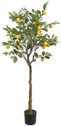 New plan LEMON TREE NP_30_170 ΥΨΟΣ 170cm Τεμαχιο
