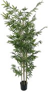 Διακοσμητικό φυτό Bamboo σε γλάστρα Inart πράσινο pp Υ190εκ