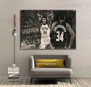 Πίνακας σε καμβά NBA Greek Freak KNV1002 30cm x 40cm