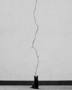 Φωτογραφία Cat thoughts, alizolghadri93