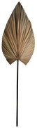 Διακοσμητικό φύλλο Leafen pakoworld φυσικό palm leaf 150 εκ