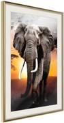 Αφίσα - Majestic Elephant - 40x60 - Χρυσό - Με πασπαρτού