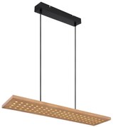 Φωτιστικό Κρεμαστό Globo Lighting DOLORES 15770H 3000K