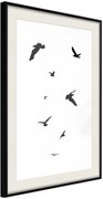 Αφίσα - Birds - 40x60 - Μαύρο - Με πασπαρτού