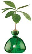 Βάζο Για Ανάπτυξη Καρπού Αβοκάντο 009 15x15cm Emerald Green Ilex Studio Γυαλί