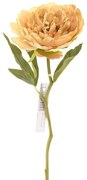Τεχνητό Κλωνάρι Παιώνια Μπεζ 34 εκ. 6280-7 Supergreens-6280-7-Μπεζ 6280-7