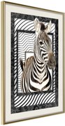 Αφίσα - Zebra in the Frame - 40x60 - Χρυσό - Με πασπαρτού