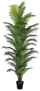 Τεχνητό Δέντρο Αρέκα Hawaii 1180-6 100x280cm Green Supergreens Πολυαιθυλένιο