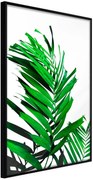 Αφίσα - Emerald Palm - 40x60 - Μαύρο - Χωρίς πασπαρτού