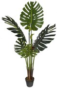 Supergreens Τεχνητό Δέντρο Μονστέρα Deliciosa 80x80xH160cm "Prime" Πράσινο 86