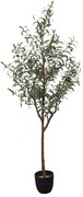 Τεχνητό Δέντρο Ελιά 8660-6 72x72x180cm Green Supergreens Polyethylene