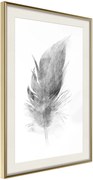 Αφίσα - Lost Feather (Grey) - 40x60 - Χρυσό - Με πασπαρτού