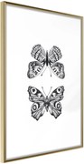 Αφίσα - Butterfly Collection I - 40x60 - Χρυσό - Χωρίς πασπαρτού