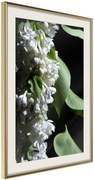 Αφίσα - Fragrant Spring - 30x45 - Χρυσό - Με πασπαρτού