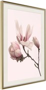 Αφίσα - Blooming Magnolias II - 40x60 - Χρυσό - Με πασπαρτού