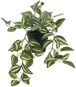 Τεχνητό Κρεμαστό Φυτό Σε Κασπώ Τηλέγραφος Ζεμπρίνα 00-22081-2 42cm Green Marhome Συνθετικό Υλικό