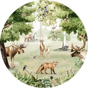 Woodland Wonders Ταπετσαρια Τοιχου Πρασινο Στρογγυλη 80cm