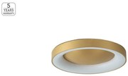 Πλαφονιέρα Φωτιστικό Οροφής LED 45W Dimmable Φ60cm Amaya Homelighting-77-8159-Χρυσό 77-8159
