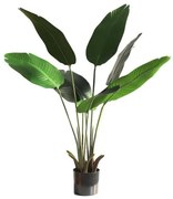 New plan BANANA TREE NP1410_120 ΥΨΟΣ 120cm Τεμαχιο