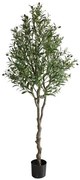 OLIVE TREE NP415_122 Ύψος 122cm