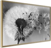 Αφίσα - Dandelion in the Wind - 60x40 - Χρυσό - Χωρίς πασπαρτού