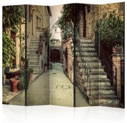 Διαχωριστικό με 5 τμήματα - Tuscan Memories II [Room Dividers] 225x172