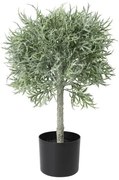 Τεχνητό Φυτό Πράσινο 57cm Yubetsu 428342 Eglo 428342