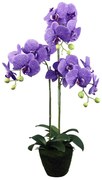 Supergreens Τεχνητό Φυτό Ορχιδέα Phalaenopsis Μωβ 80 εκ.