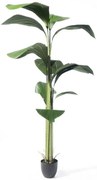 Τεχνητό Δέντρο Λικουάλα 7701-6 210cm Green Supergreens Πλαστικό
