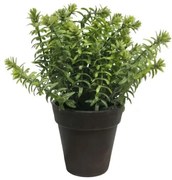 Τεχνητό Φυτό Αρωματικό 23 εκ. 0750-6 Supergreens-0750-6-Πράσινο 0750-6